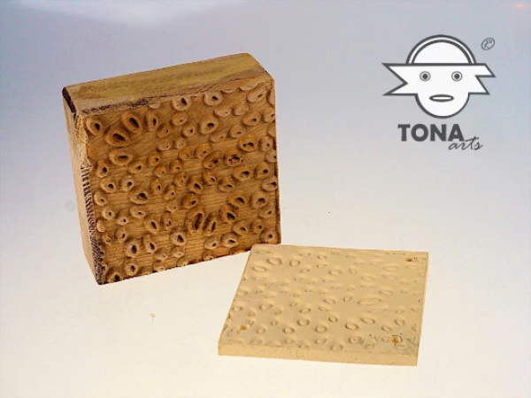 No.SL2 seamless plant cell structure No.SL2 seamless plant cell structure